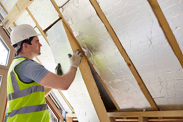 Best DIY Insulation Kits and Guidance in Mayo, FL
