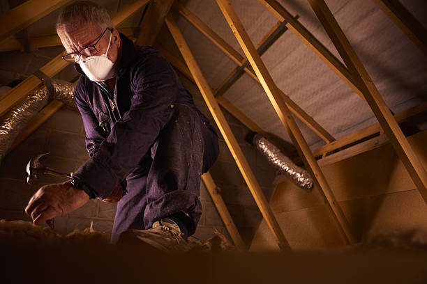Best Spray Foam Insulation in Mayo, FL